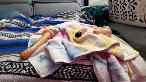 houdicky2 online show from September 2025 03:08:02 AM