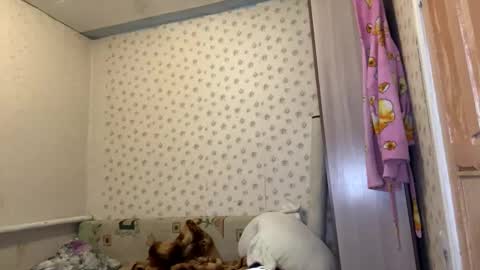 hsiuscherich online show from January 2026 12:10:02 PM