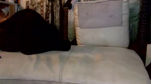 huippari online show from December 2024 10:30:01 AM