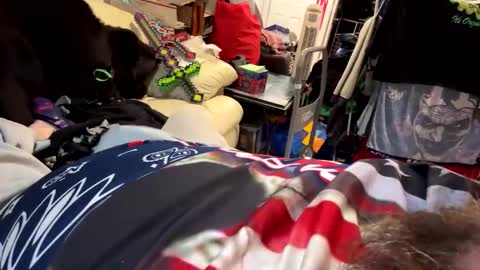 hulk1148 online show from December 2024 06:52:01 PM