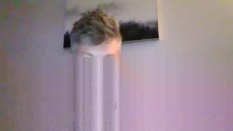 Snapshot of hunginhville2347 chatting on April 2026 02:47:02 AM hunginhville2347 online show from April 2026 02:47:02 AM