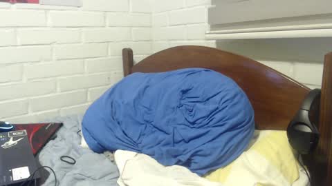 Rod online show from December 2024 03:15:01 AM