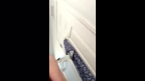 Snapshot of huskey300 chatting on January 2026 04:32:01 PM huskey300 online show from January 2026 04:32:01 PM