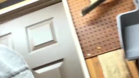 Snapshot of huskey300 chatting on February 2026 10:26:01 PM huskey300 online show from February 2026 10:26:01 PM