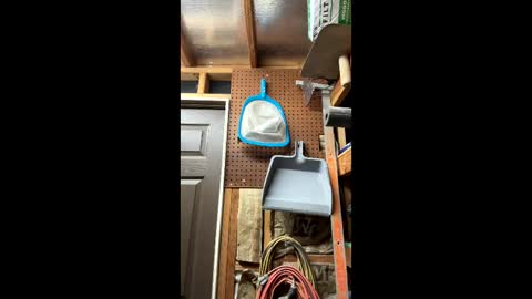 huskey300 online show from March 2026 02:19:02 AM