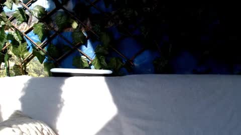 Kayla online show from March 2025 08:38:02 AM