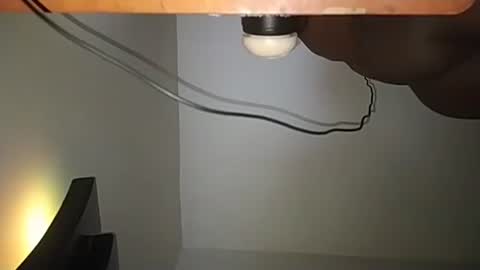 Andres online show from November 2025 08:03:01 AM