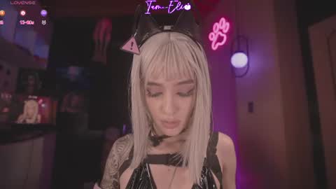       online show from July 2026 02:39:01 AM