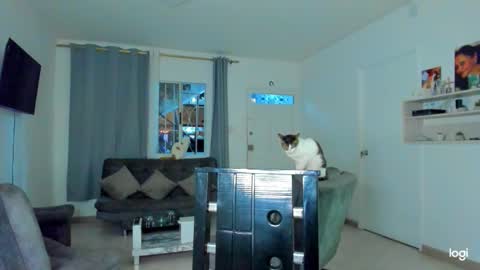 iam_your_fantasy online show from December 2025 12:09:02 AM