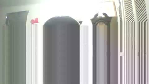 Snapshot of iamproprojectcandysugarbaby chatting on September 2025 01:55:01 PM I LOVE MY COCONUT EAT MY COCONUTS online show from September 2025 01:55:01 PM