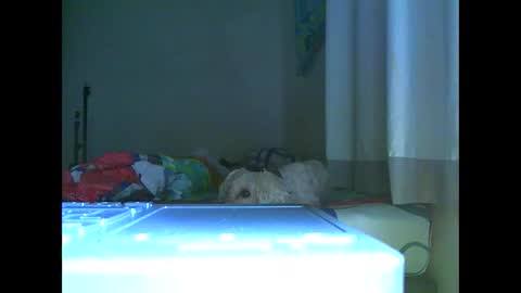 Ian is back my loves online show from November 2025 07:03:01 PM