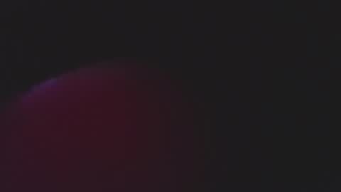 Snapshot of iara_smith_ chatting on February 2026 12:03:01 PM iara smith online show from February 2026 12:03:01 PM