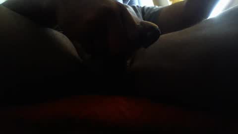 icecreamman6986 online show from January 2025 08:15:01 PM