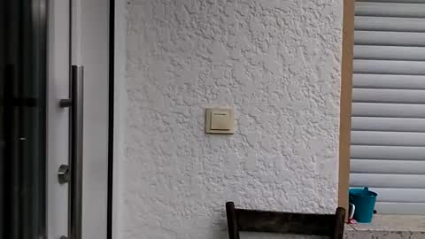 Snapshot of icheinfachich13 chatting on October 2025 08:26:01 AM icheinfachich13 online show from October 2025 08:26:01 AM