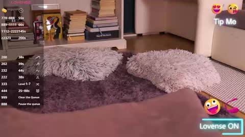 Snapshot of idontlikeguccibelts chatting on September 2025 03:46:02 PM Little Flower online show from September 2025 03:46:02 PM