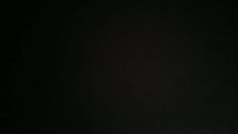 Snapshot of idtravel89 chatting on February 2026 09:19:02 PM ... online show from February 2026 09:19:02 PM