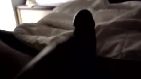 ihktqjtwzczh online show from April 2026 09:43:01 AM