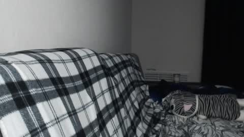 iiiiiiis online show from November 2025 04:40:01 PM