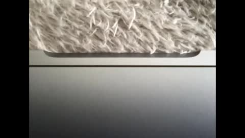 Morvoys online show from September 2025 01:43:02 PM