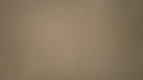 Morvoys online show from November 2025 05:36:02 PM