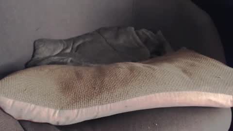 Snapshot of ilgiveuthemarathon chatting on October 2025 05:15:02 AM MR Marathon online show from October 2025 05:15:02 AM