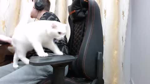 Snapshot of iliaskrisloveee chatting on November 2025 01:44:02 PM lord online show from November 2025 01:44:02 PM