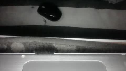 iloveitall86 online show from April 2026 04:50:02 AM