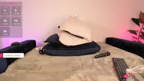 Snapshot of im_charliee chatting on February 2025 11:37:02 PM charlie online show from February 2025 11:37:02 PM