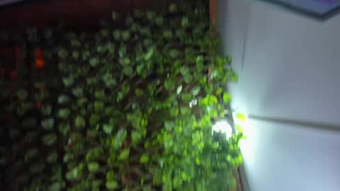 im_xandersmith online show from May 2026 08:38:01 PM