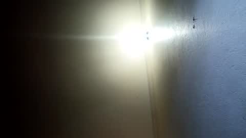 Snapshot of indian_succubus chatting on July 2026 08:01:01 PM Perky baby online show from July 2026 08:01:01 PM