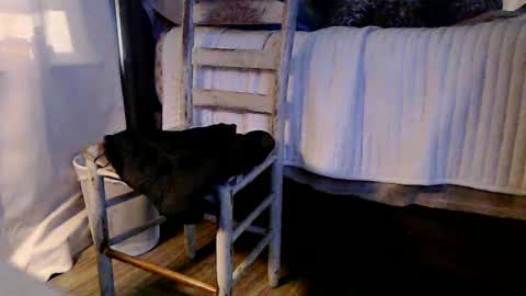 indicasonly online show from January 2025 01:53:01 PM