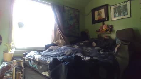 indigo_scorpio online show from January 2025 05:35:01 PM