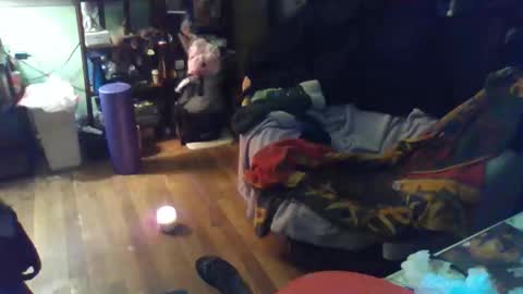 indigo_scorpio online show from February 2026 12:04:02 AM