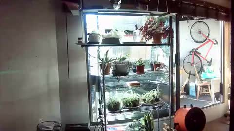 BroLOU online show from June 2026 02:53:01 AM