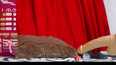 Indi  online show from December 2024 12:41:01 AM