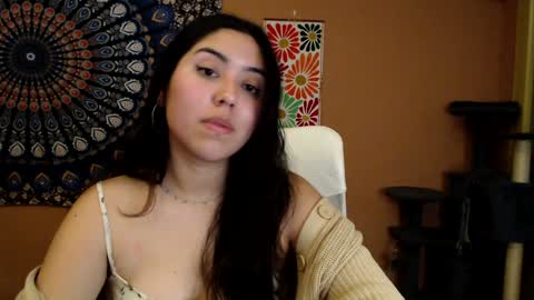 Snapshot of intimatetales chatting on January 2025 04:22:02 PM Africa online show from January 2025 04:22:02 PM