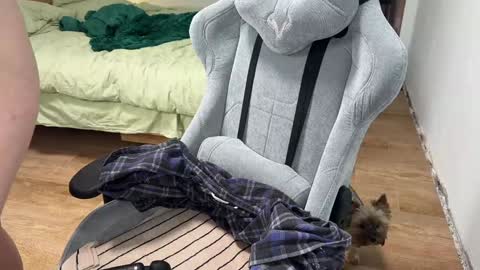 Snapshot of intimatevoyager chatting on December 2024 03:11:01 PM Jenny online show from December 2024 03:11:01 PM