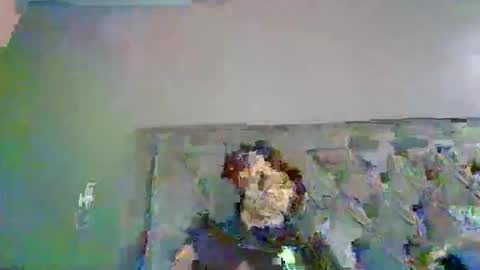 Snapshot of introducingthebrilliance chatting on October 2025 03:48:02 AM WillyTripleXxx online show from October 2025 03:48:02 AM