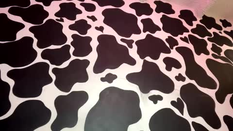  Iris  online show from February 2025 05:58:01 PM