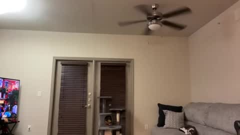 irissweets online show from March 2025 04:41:01 AM