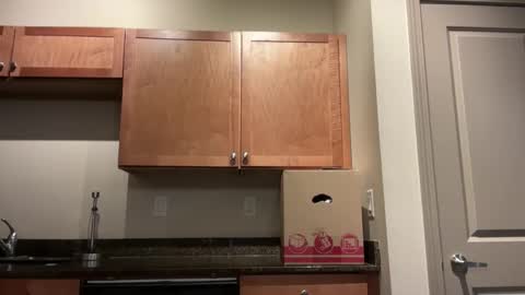 irissweets online show from April 2026 07:13:02 AM