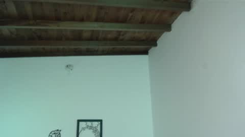 Iris online show from January 2025 06:06:01 PM