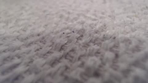 ironman383838 online show from October 2025 09:59:02 PM