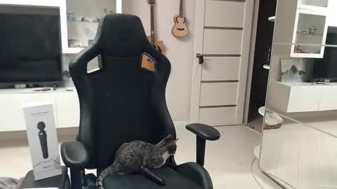 Snapshot of irwi_tomboy chatting on December 2024 11:24:02 PM Irwi Tomboy online show from December 2024 11:24:02 PM