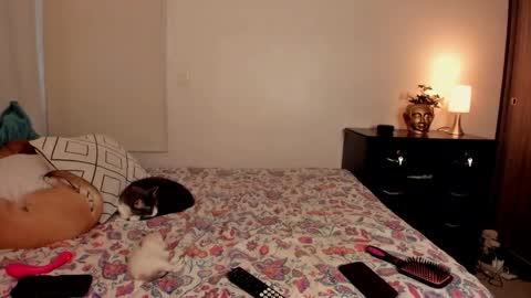 Isa online show from October 2025 10:00:01 PM