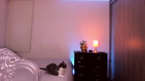 Snapshot of isabelprietoo chatting on July 2026 01:23:02 AM Isa online show from July 2026 01:23:02 AM