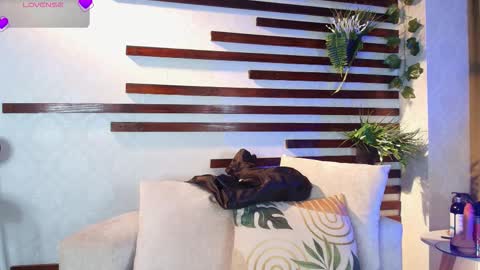 Isa online show from February 2026 11:17:01 AM