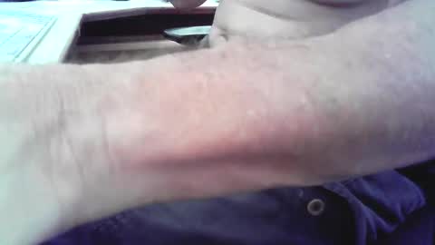 islandforfun online show from April 2026 01:08:02 PM