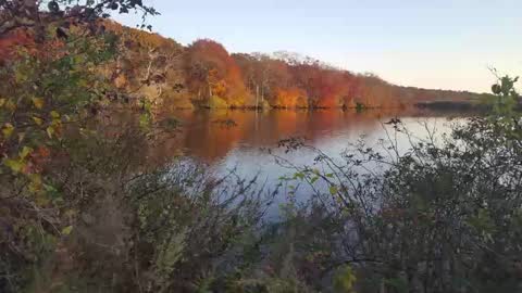 Snapshot of islandguy70 chatting on February 2025 07:33:01 AM Jim online show from February 2025 07:33:01 AM