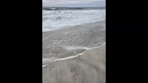 Snapshot of islandguy70 chatting on March 2025 06:19:01 PM Jim online show from March 2025 06:19:01 PM